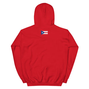 Beta40 Puerto Rico Unisex Hoodie