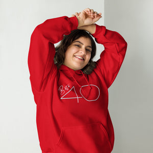 Beta40 USA Unisex Hoodie